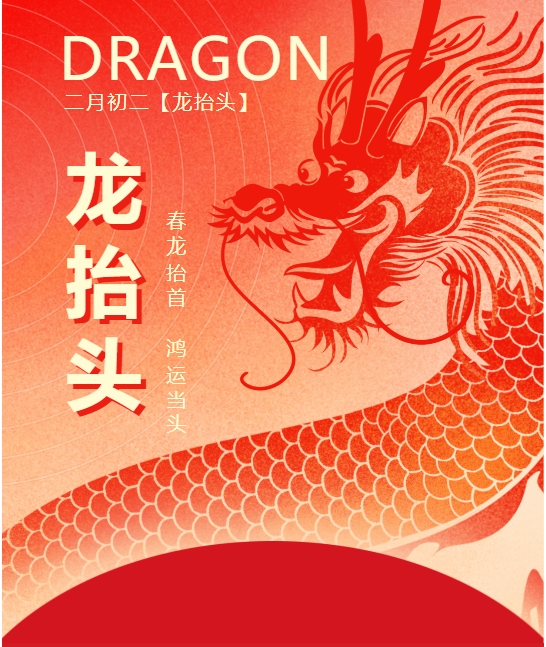 二月二龍?zhí)ь^，春龍振翅鴻運(yùn)啟 —— 佳木斯網(wǎng)云信息科技有限公司與您共迎新春盛景
